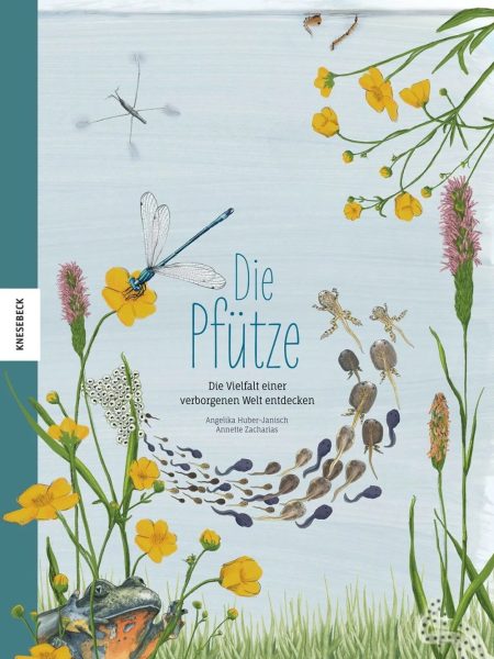 Buchcover: Die Pfütze - Die Vielfalt einer verborgenen Welt entdecken